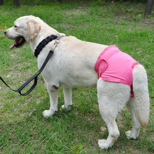 Washable cotton diaper for dogs