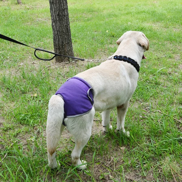 Washable cotton diaper for dogs