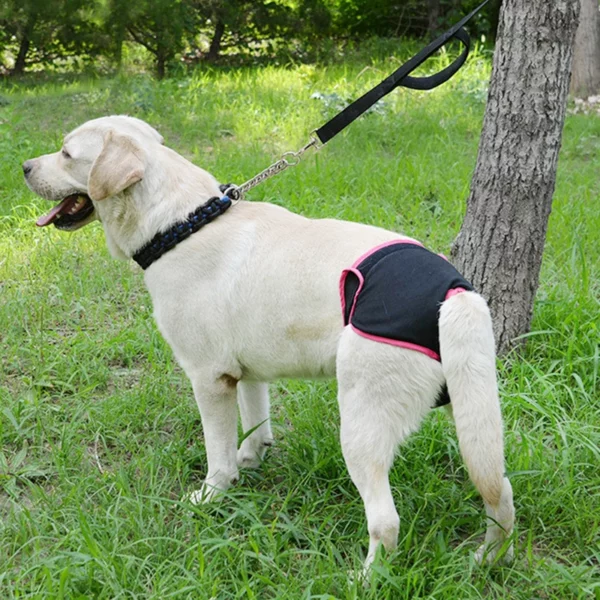 Washable cotton diaper for dogs