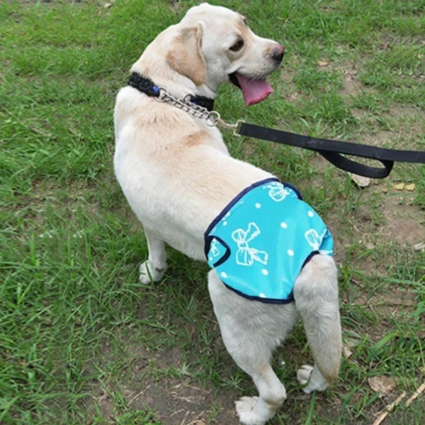 Washable diaper for dogs