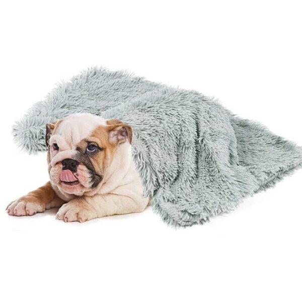 Soft and thin dog blankets