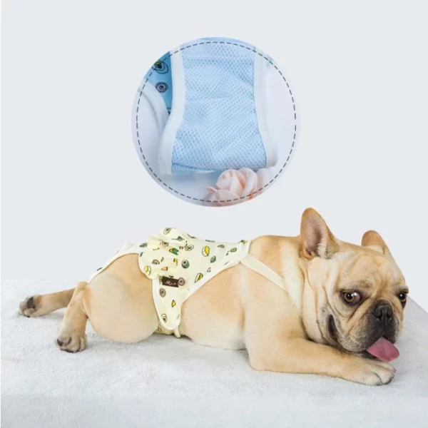 Reusable physiological pants for dogs