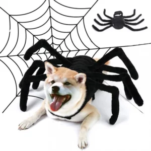 Spider-shaped Halloween costume for dogs