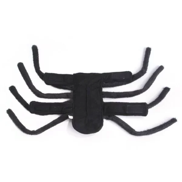 Spider-shaped Halloween costume for dogs