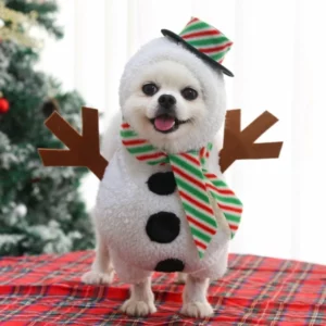 Christmas costume for snowman dog