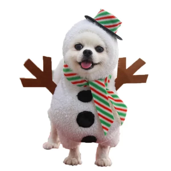 Christmas costume for snowman dog