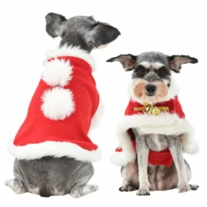 Christmas costume for Santa Claus dog