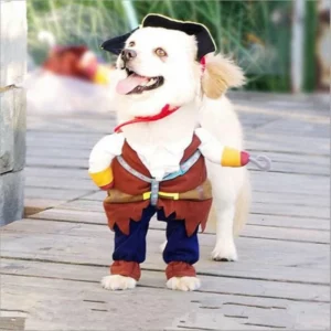 Halloween costume for pirate dog