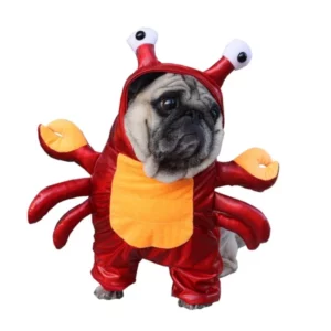 Halloween costume for lobster dog