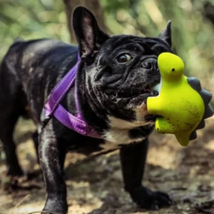 Rubber dinosaur for dog