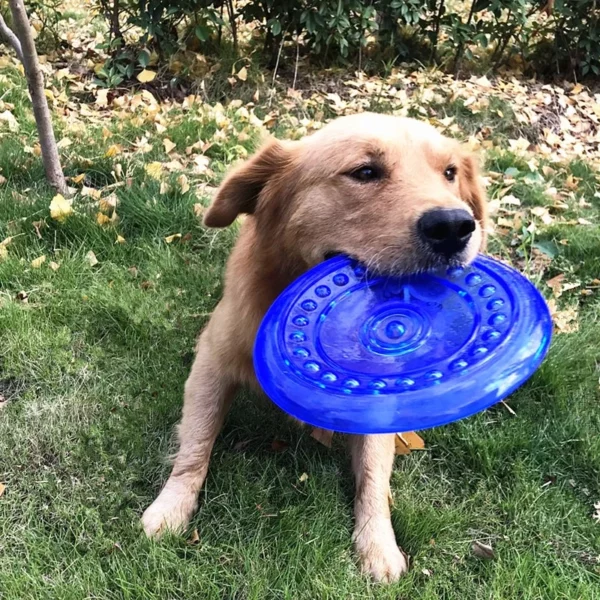 Soft rubber flying disc for dogs