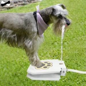 Outdoor automatic water dispenser for dogs