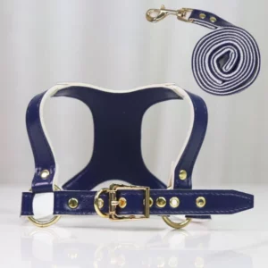 Dog harness and leash set