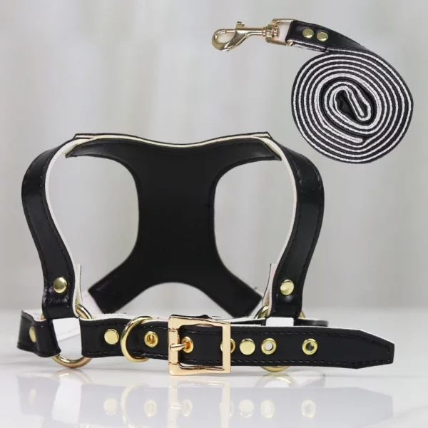 Dog harness and leash set