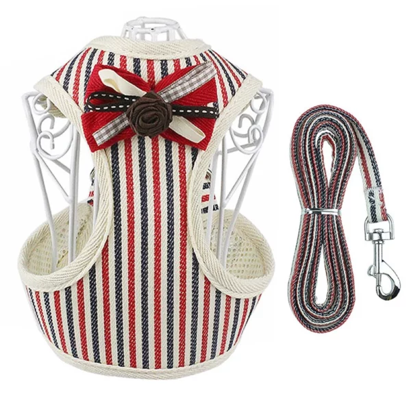 Harness and leash set for small dogs