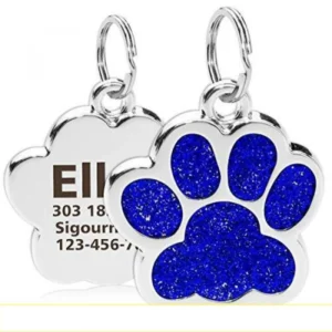 Customizable dog tag