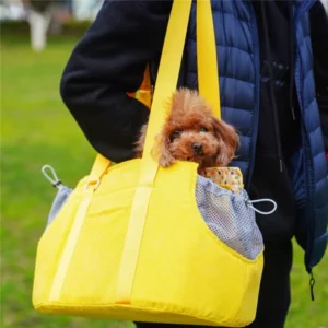 Stylish dog tote