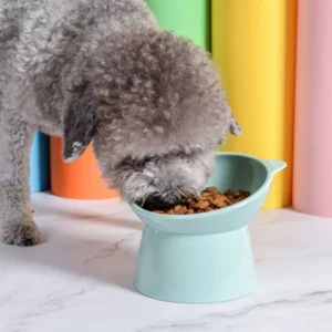 Bowl with a cat design for dogs