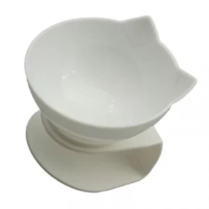 Slanted dog bowl