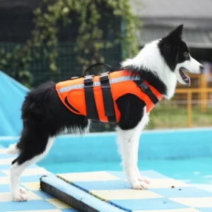 Dog life jacket