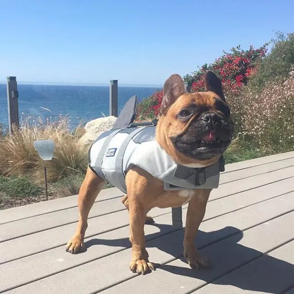 Gray life jacket for dogs