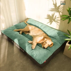 Large removable dog bed with washable cover