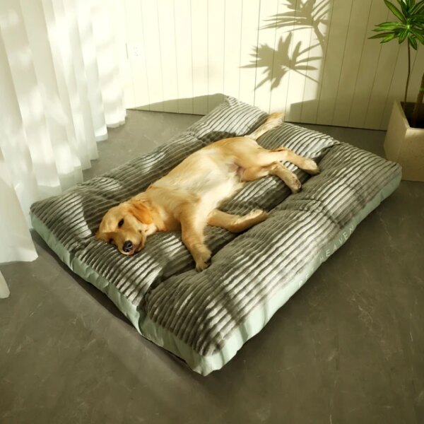 Large removable dog bed with washable cover