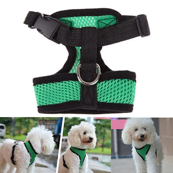 Harness with flexible leash for dogs