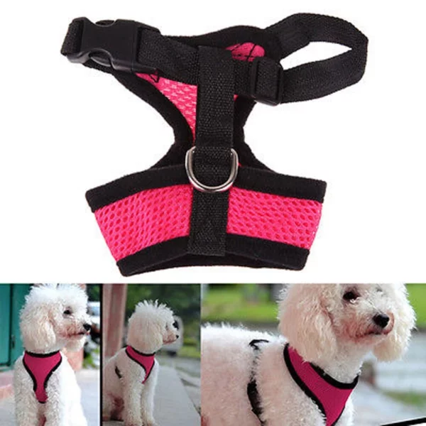 Harness with flexible leash for dogs