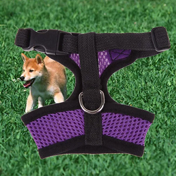 Harness with flexible leash for dogs