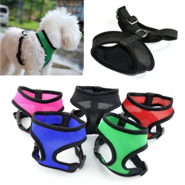 Harness with flexible leash for dogs