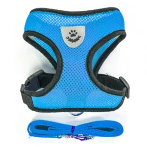 Dog harness with leash