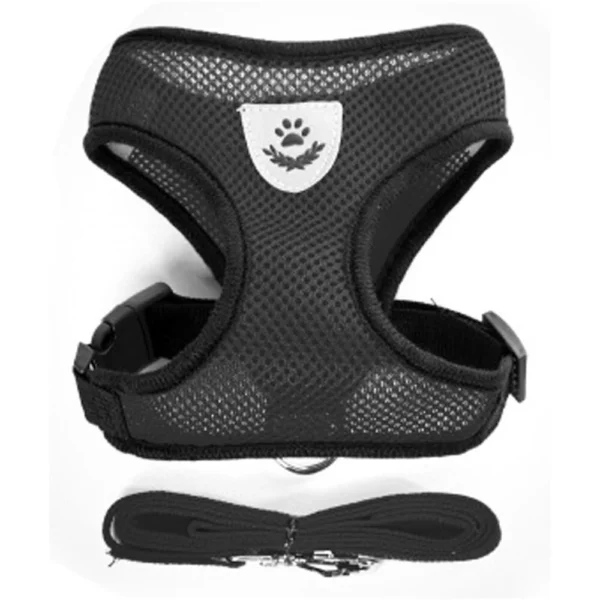 Dog harness with leash