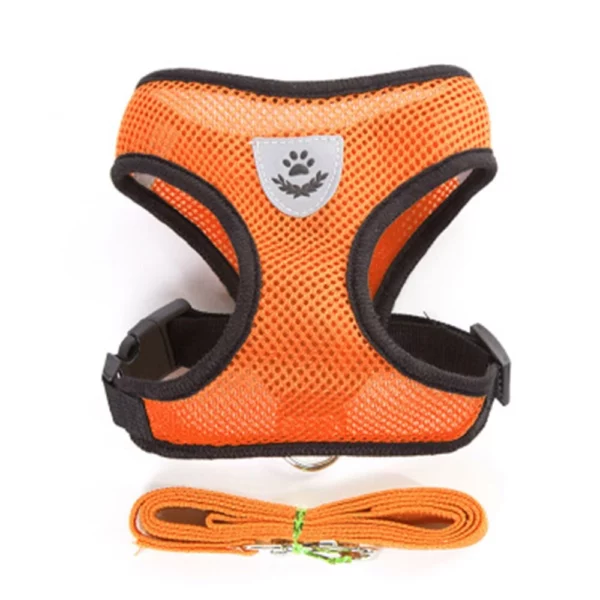 Dog harness with leash