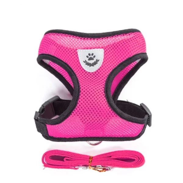 Dog harness with leash