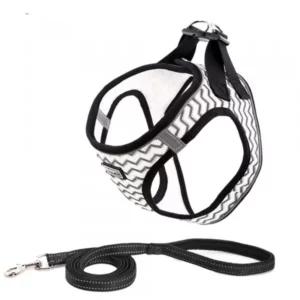 Dog harness and leash set