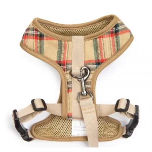 Harness with leash for dogs