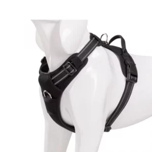 Harness with leash attachment for dog