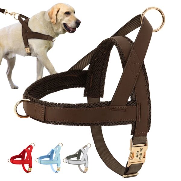 Adjustable and colorful customizable dog harness