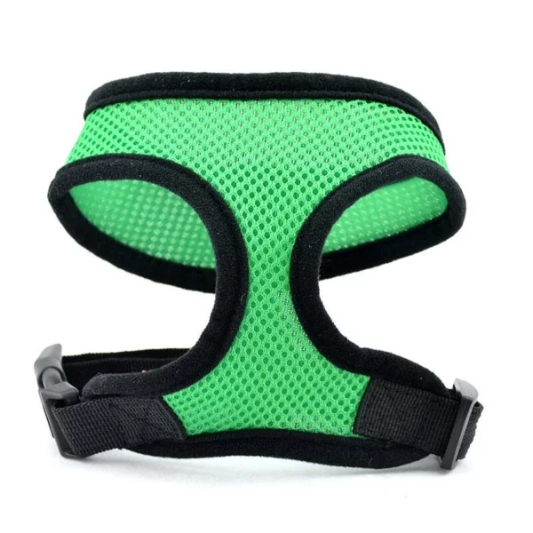 Dog walking harness