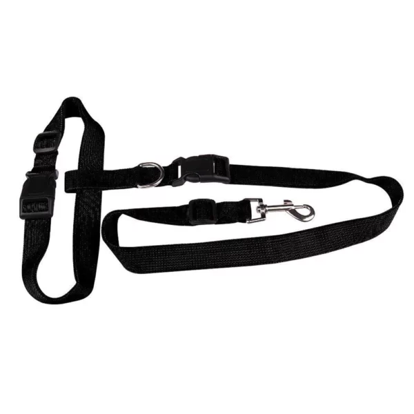 Waist harness with leash for dog