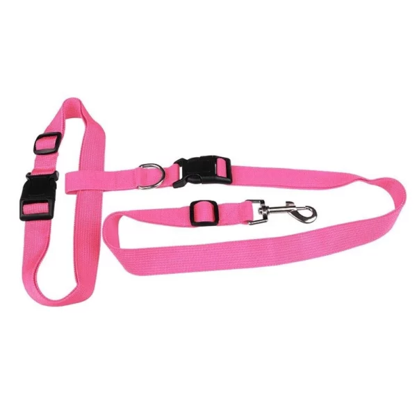 Waist harness with leash for dog