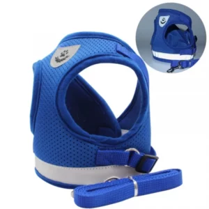 Mesh harness with leash for dogs