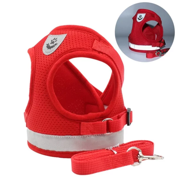 Mesh harness with leash for dogs