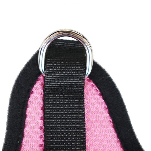 Pink harness and nylon leash for dogs