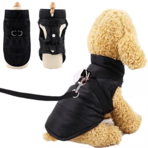 Harness and winter jacket for dogs