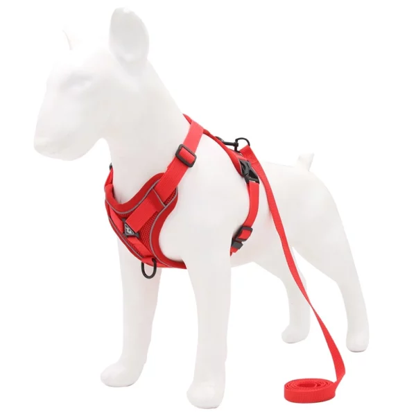 Adjustable dog harness with leash