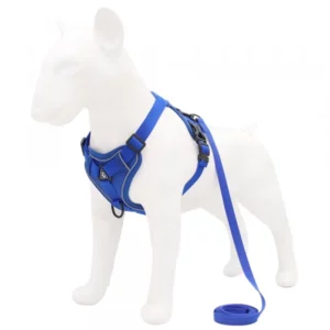 Adjustable dog harness with leash