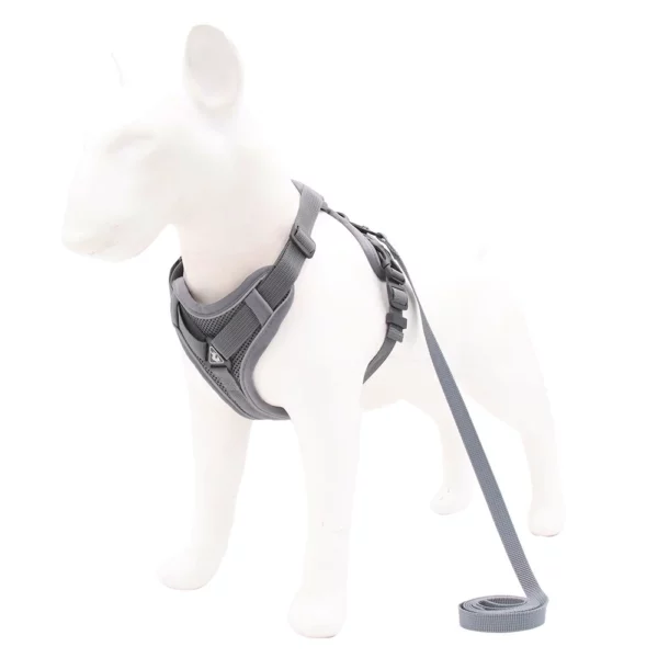 Adjustable dog harness with leash