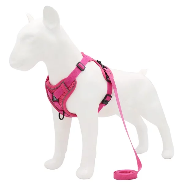 Adjustable dog harness with leash